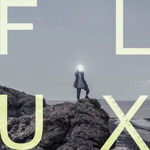 Rachael Dadd - Flux  LP LP
